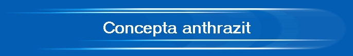 Concepta anthrazit