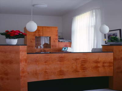 Empfangstheke Ahorn Maser